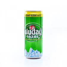 ULUDAG GAZOZ KUTU 330ml