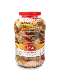 BERRAK MIX PICKLES PET 5l